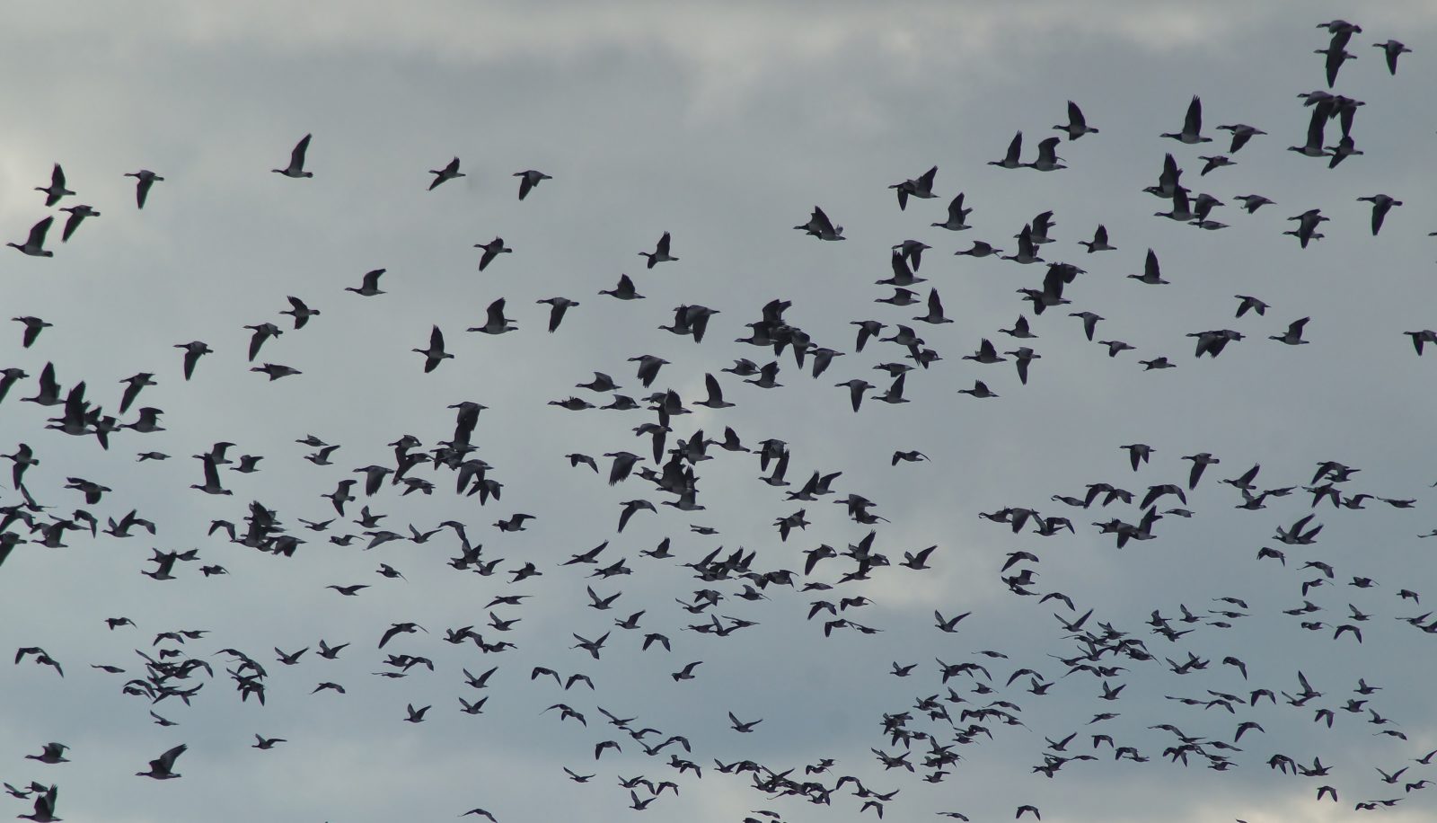 Valokuvaaja: Maarit Siitonen