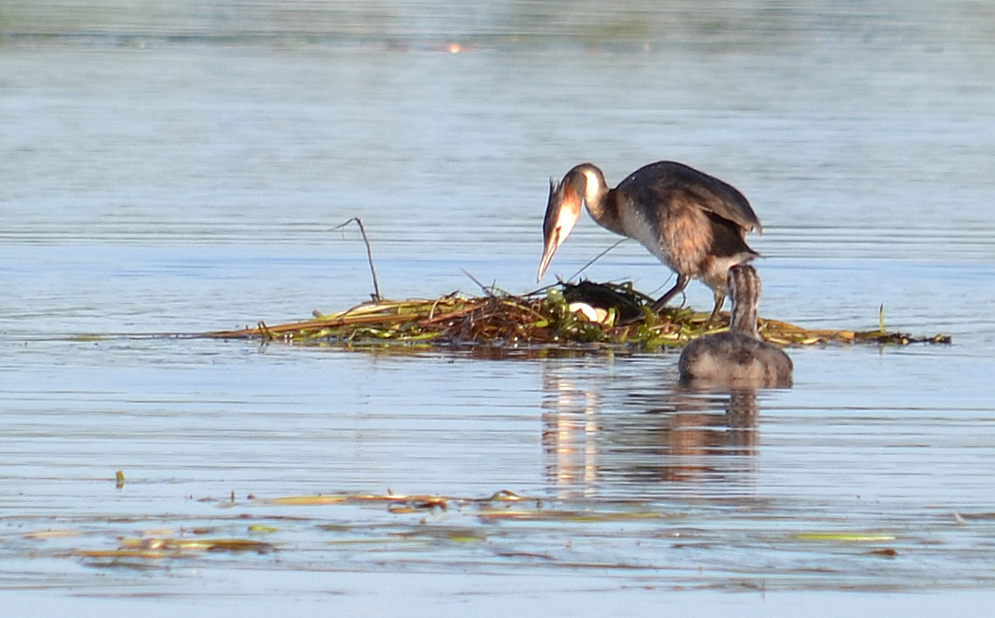 Valokuvaaja: Kirsi Nikkola