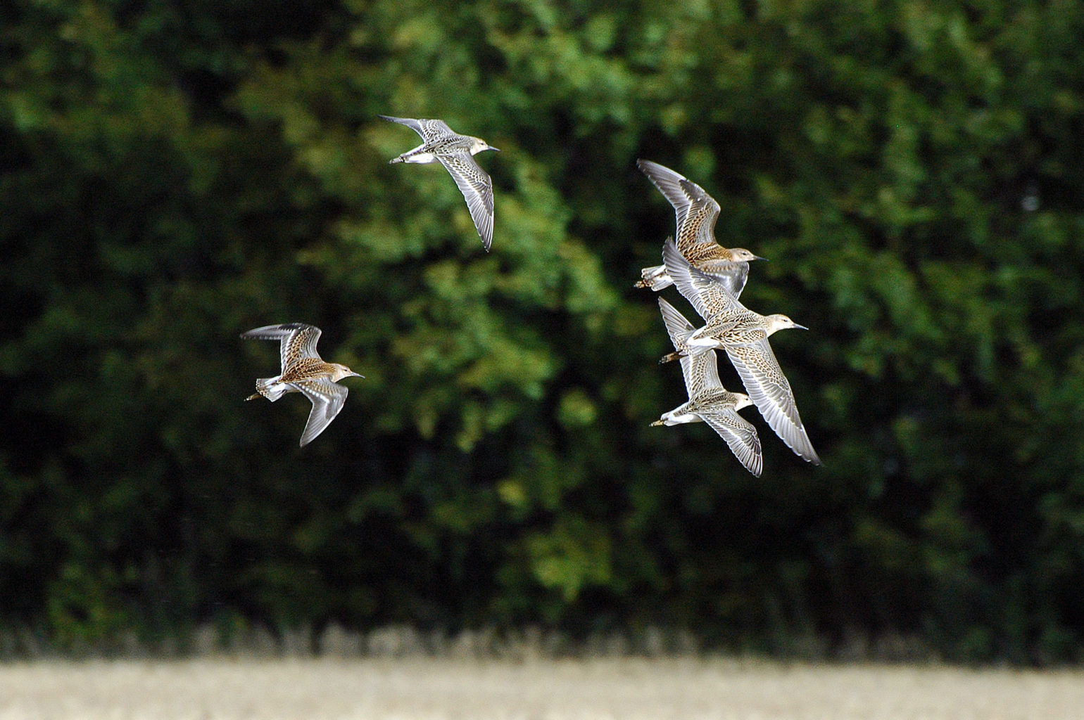 Valokuvaaja: Paavo Siukonen