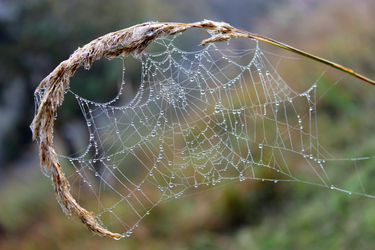 Valokuvaaja: Irja Lehtinen