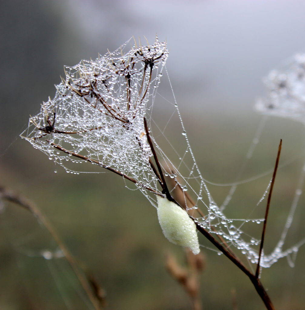 Valokuvaaja: Irja Lehtinen