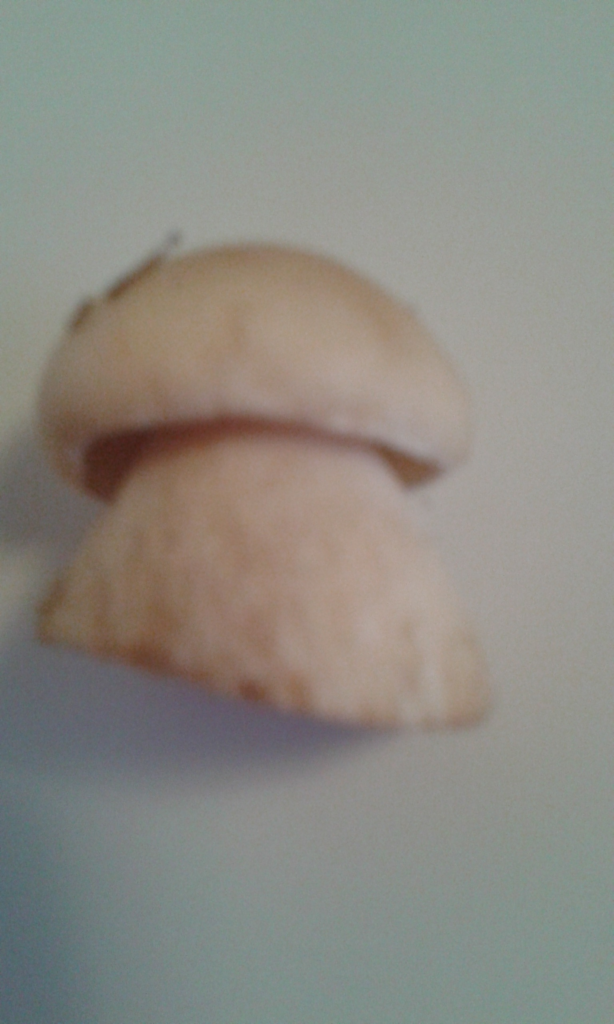 Valokuvaaja: Heli Heiniö