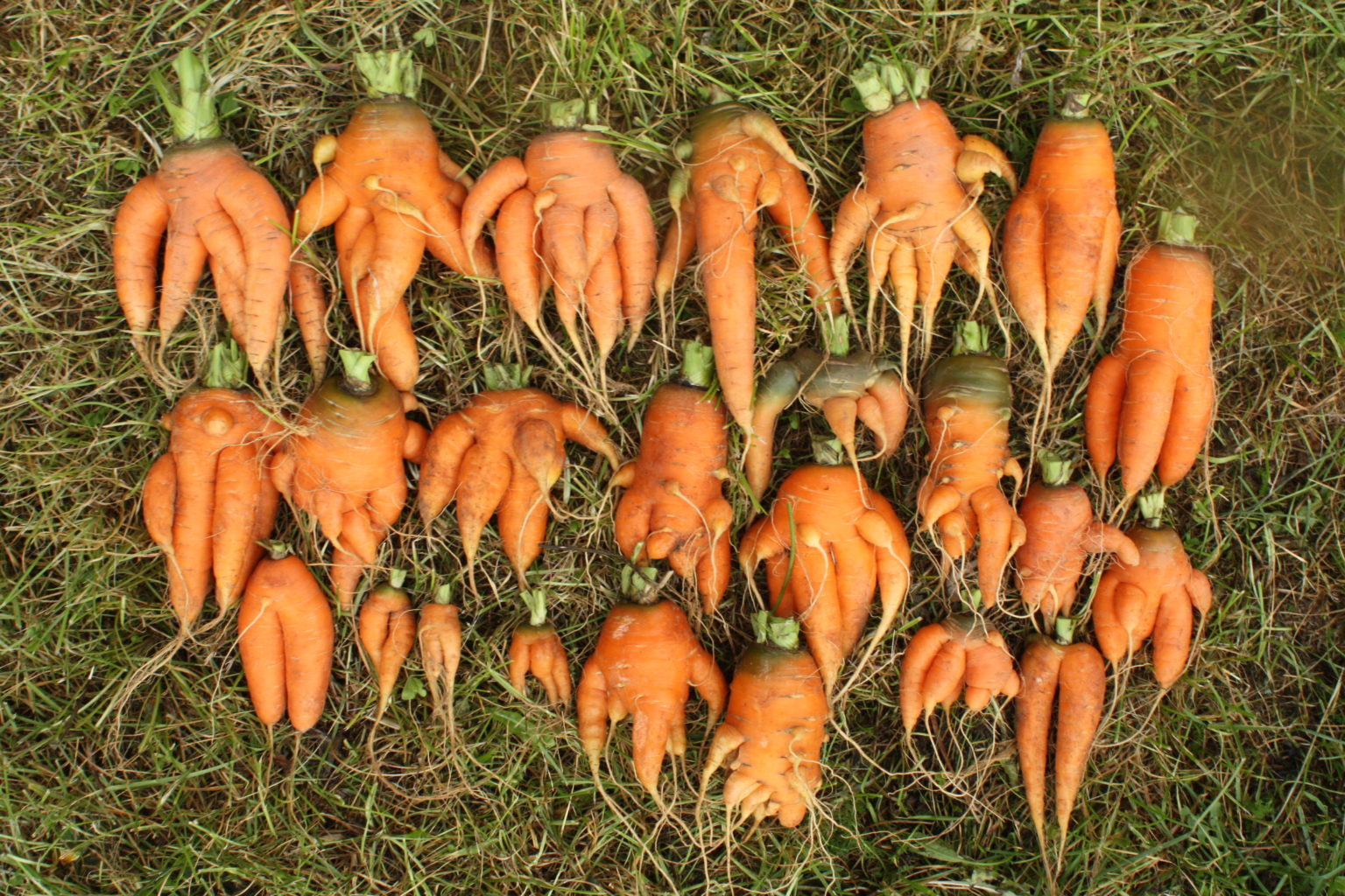 Valokuvaaja: Jouko Tolkki