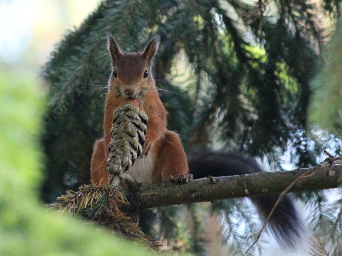 Valokuvaaja: Tuula Vilva