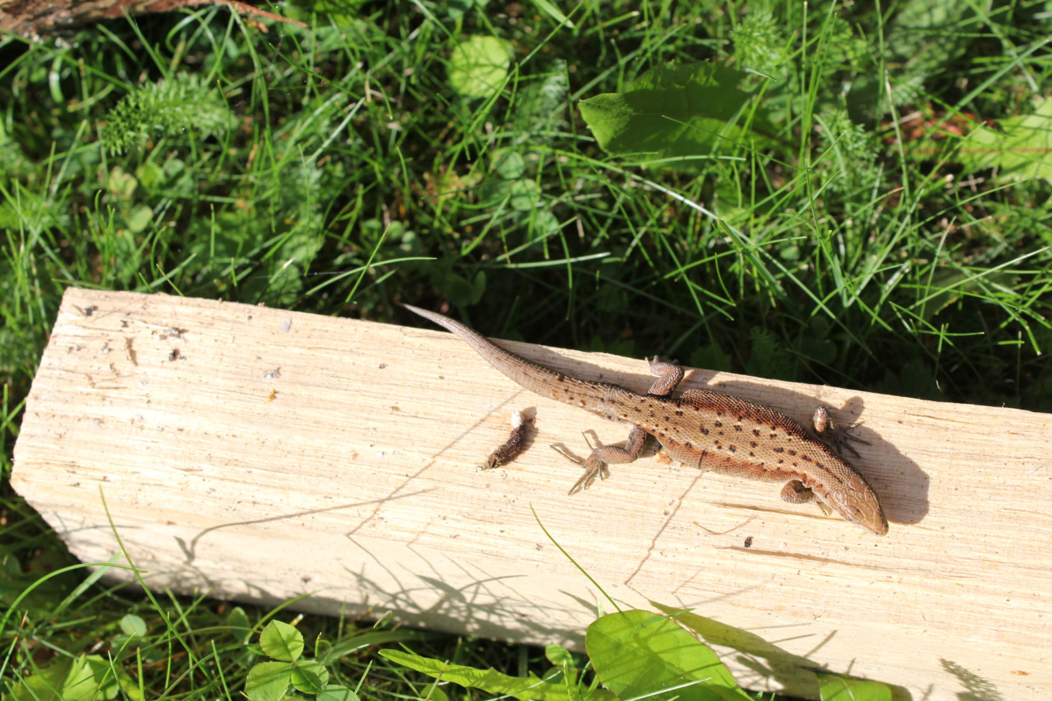 Valokuvaaja: Nina Varuhin