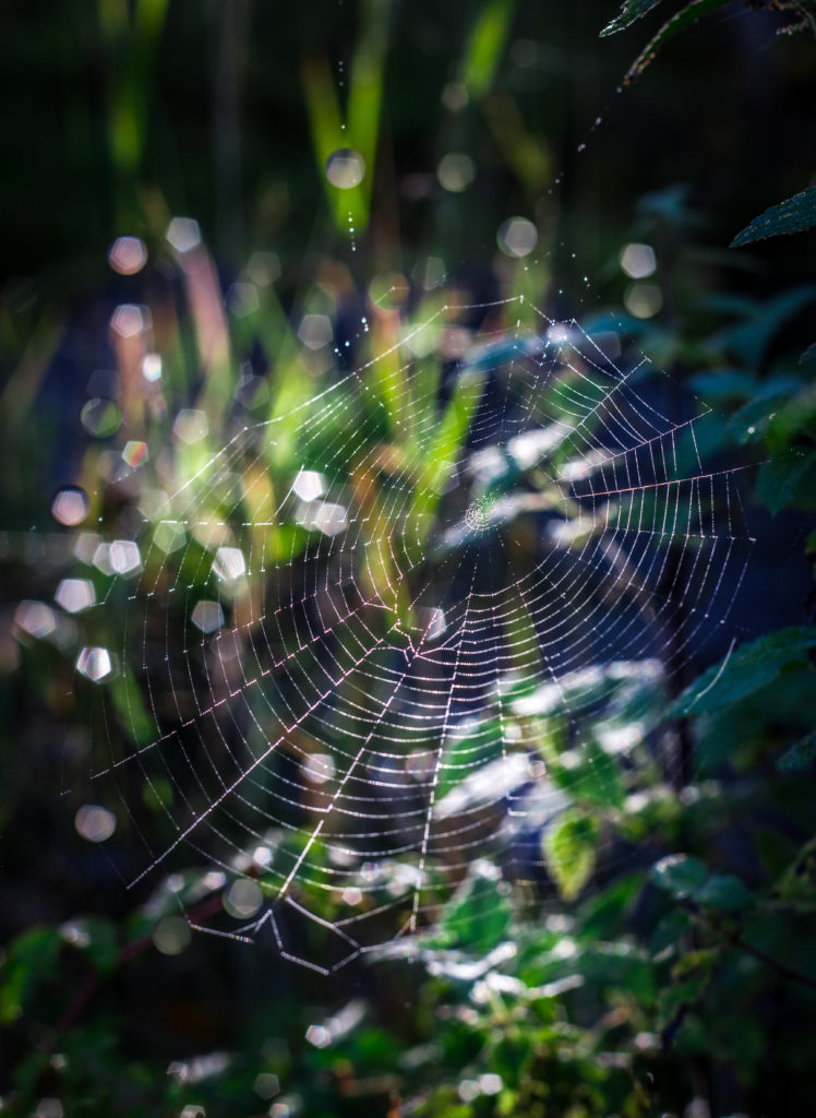 Valokuvaaja: Satu Mali