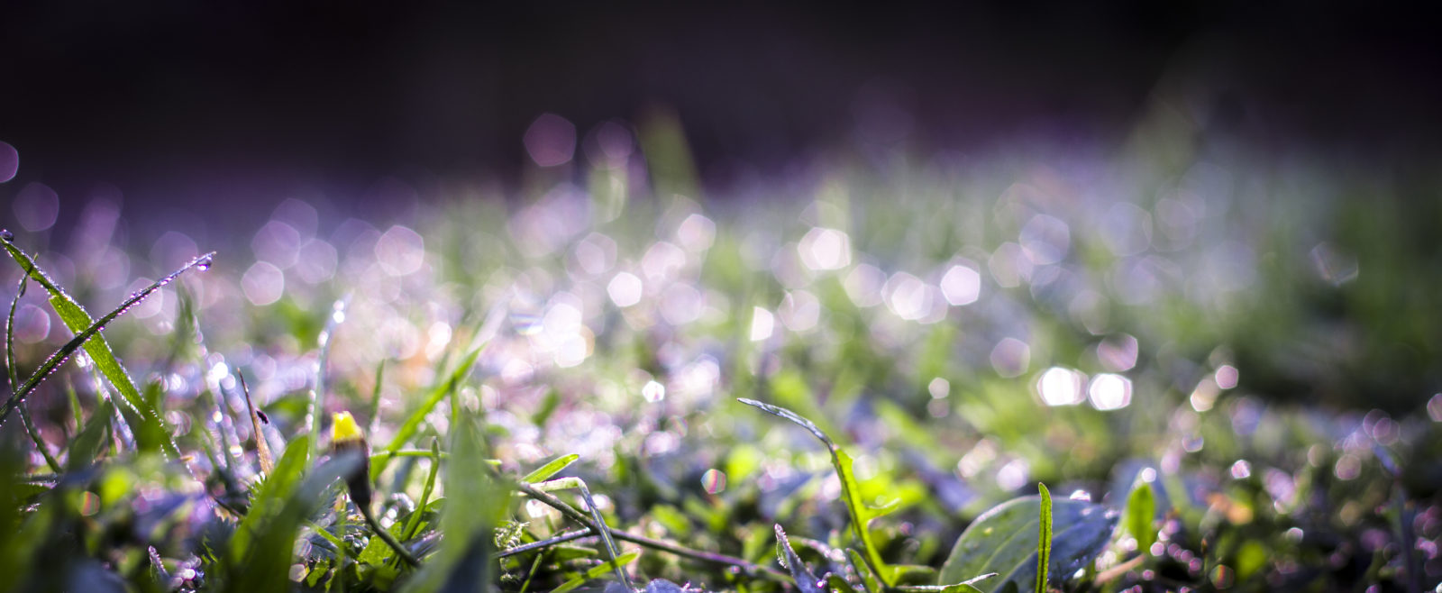 Valokuvaaja: Satu Mali Valokuvaaja: Satu Mali