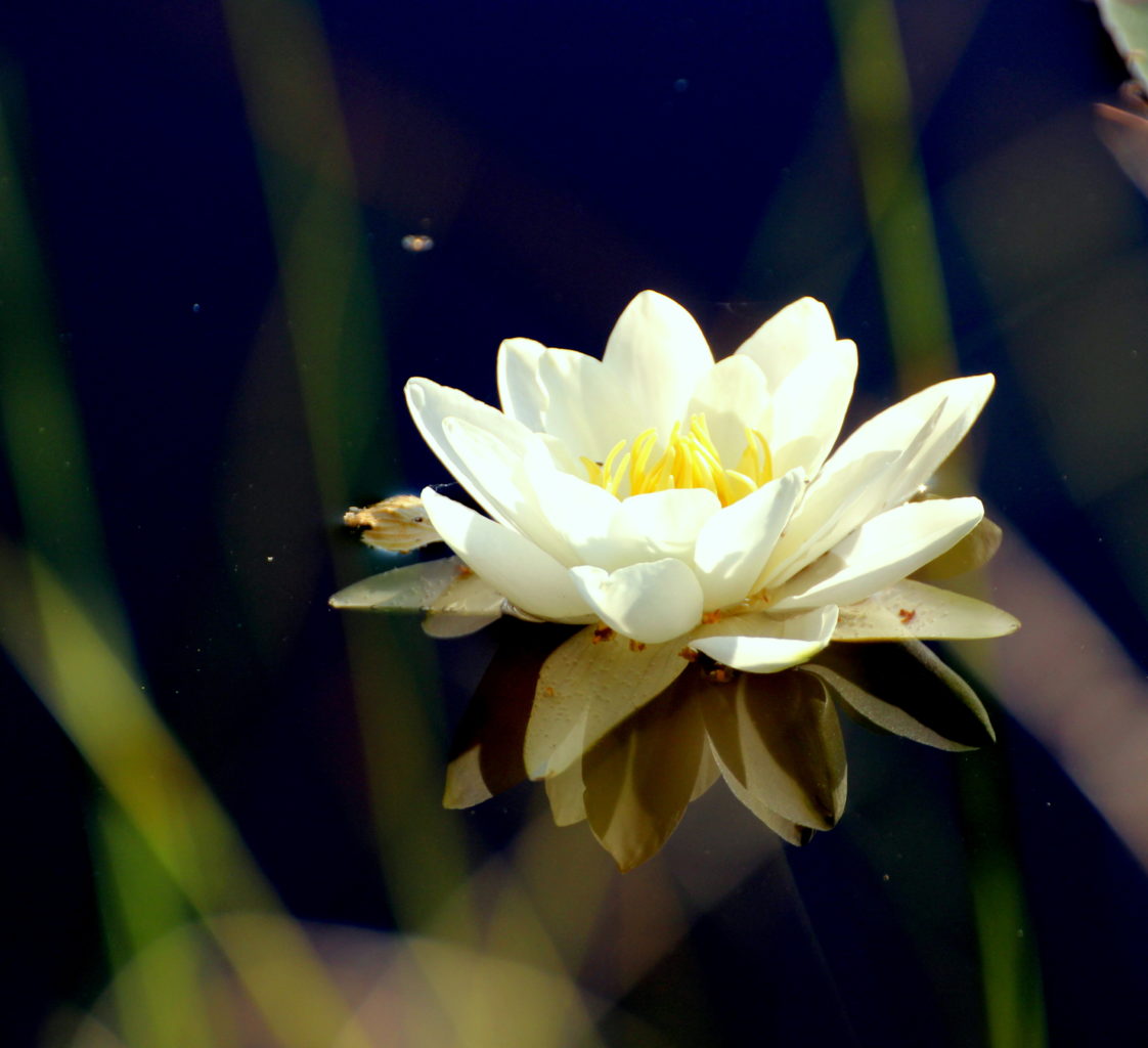 Valokuvaaja: Irja Lehtinen Valokuvaaja: Irja Lehtinen