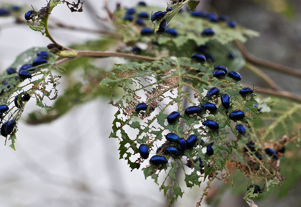 Valokuvaaja: Eija Lehto