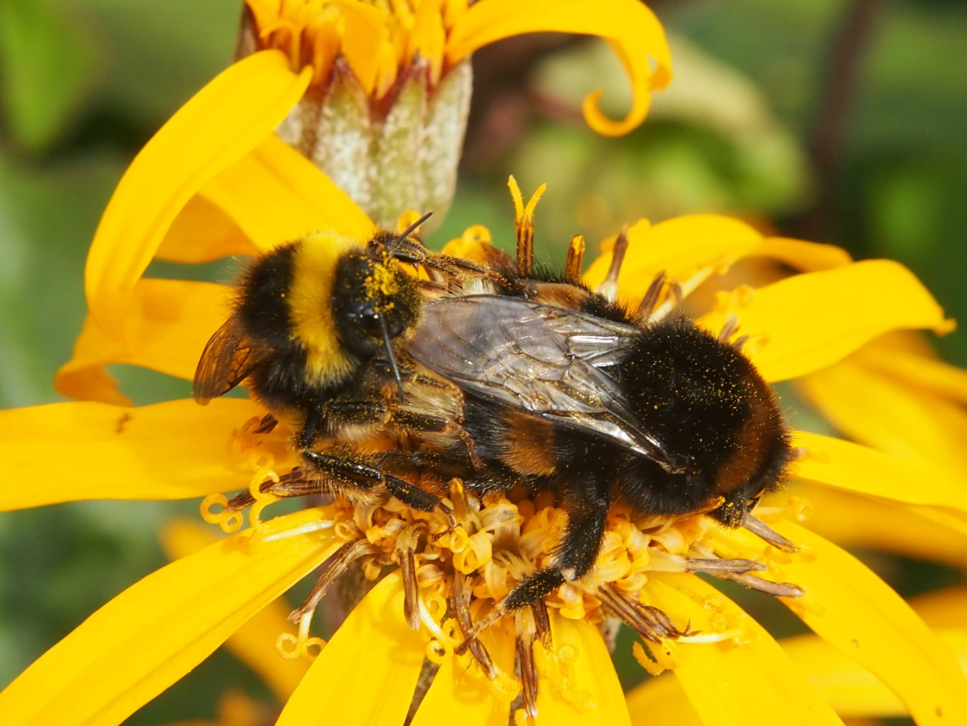 Valokuvaaja: Vuokko Virtanen Valokuvaaja: Vuokko Virtanen