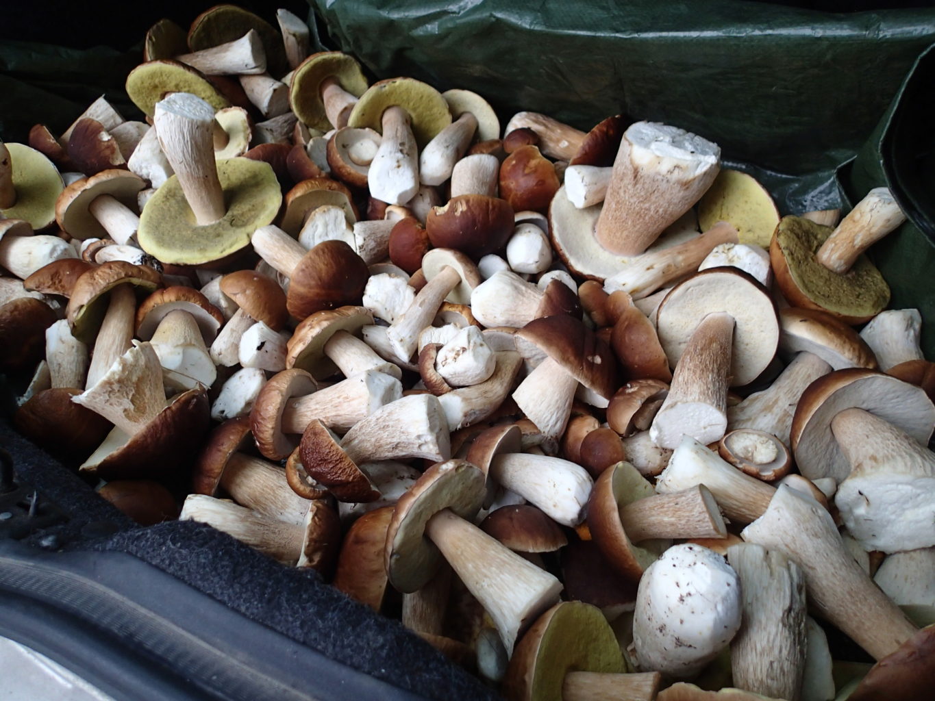 Valokuvaaja: Lena Karlsson