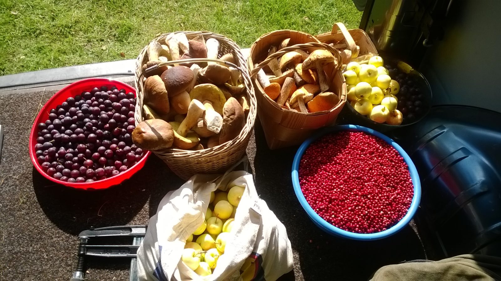 Valokuvaaja: Ronja Niinikorpi