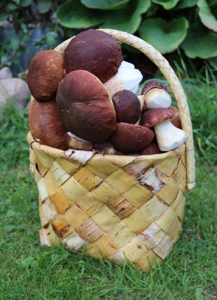 Valokuvaaja: SINIKKA KUJALA