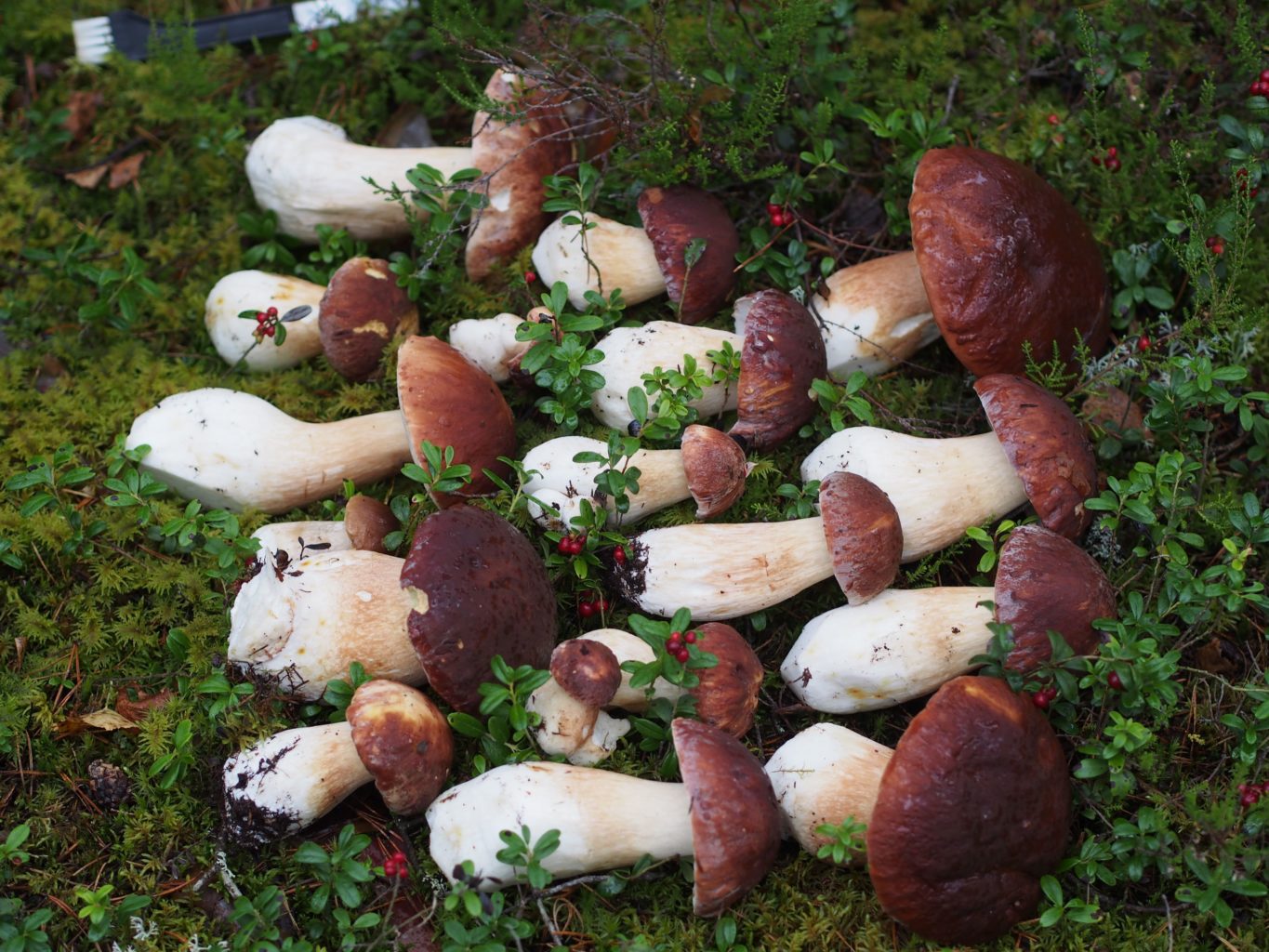 Valokuvaaja: Marika Tudeer