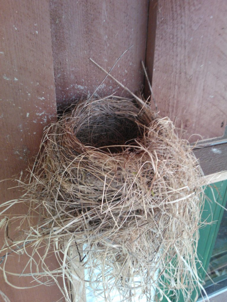 Valokuvaaja: Pirjo Lahtinen