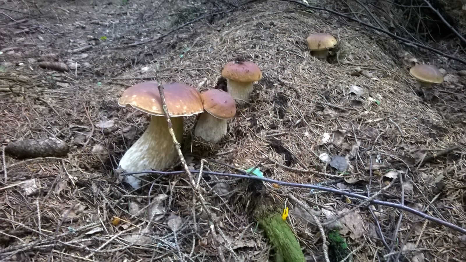 Valokuvaaja: Vesa-Pekka Rantalainen