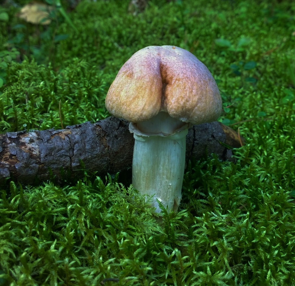 Valokuvaaja: Liisa Salo Valokuvaaja: Liisa Salo