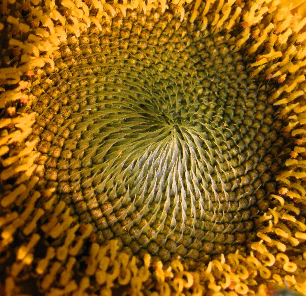 Valokuvaaja: anu keskitalo