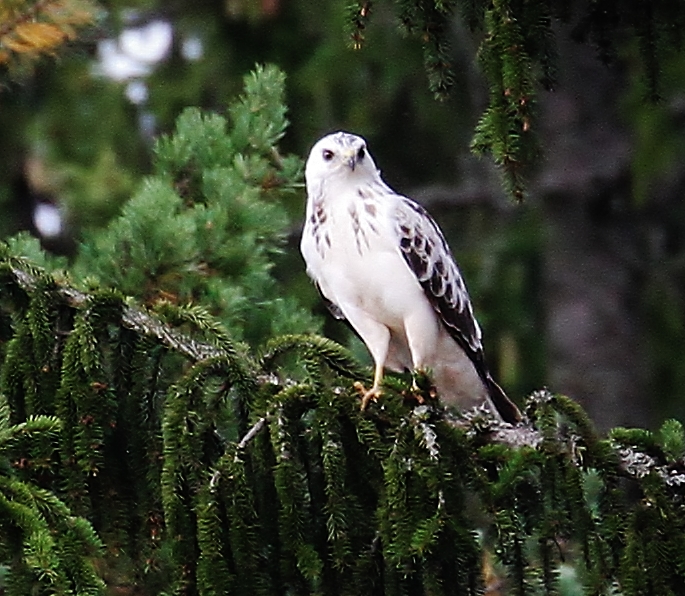 Valokuvaaja: Sirkku Huttunen