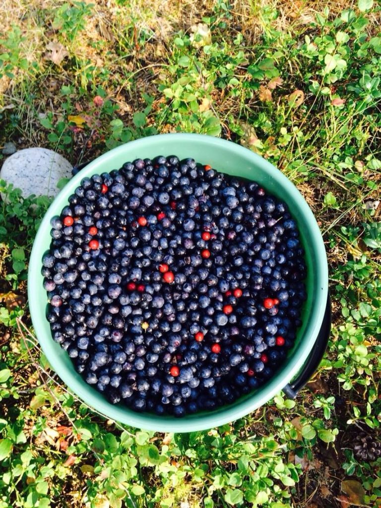 Valokuvaaja: SivKaukinen