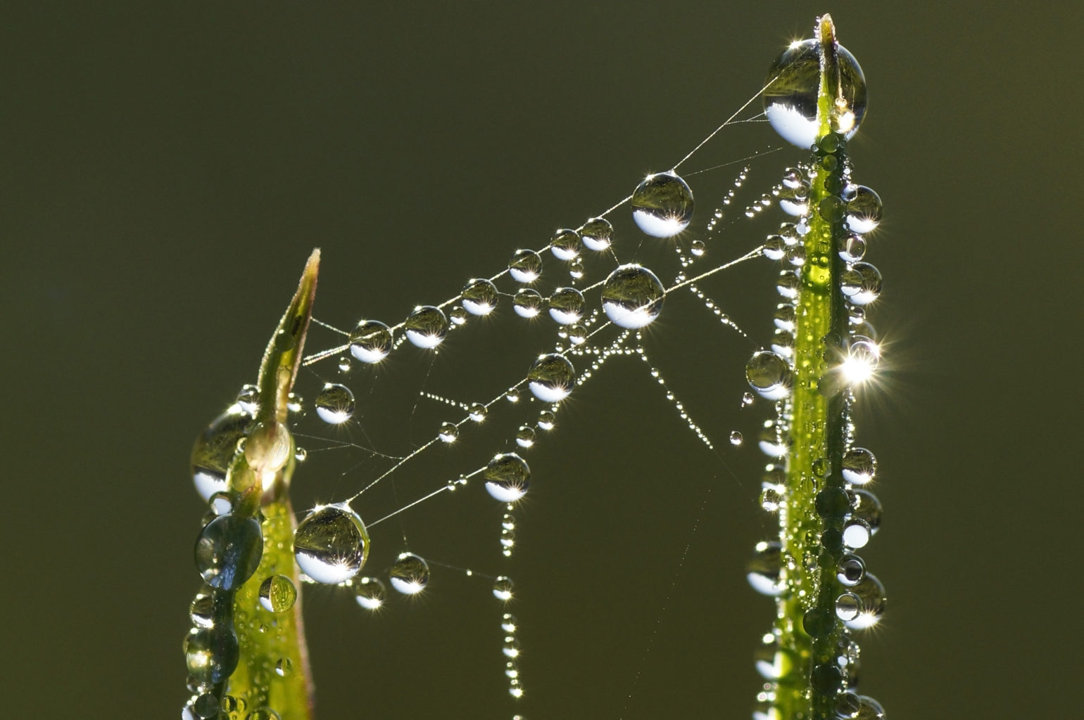 Valokuvaaja: Juhani Harkas