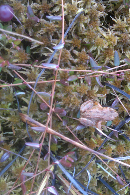 Valokuvaaja: eeva-liisa vuonnala Valokuvaaja: eeva-liisa vuonnala