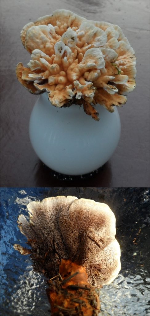 Valokuvaaja: Jukka Kujala