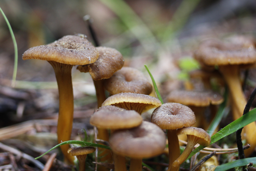 Valokuvaaja: Pirjo Valokuvaaja: Pirjo