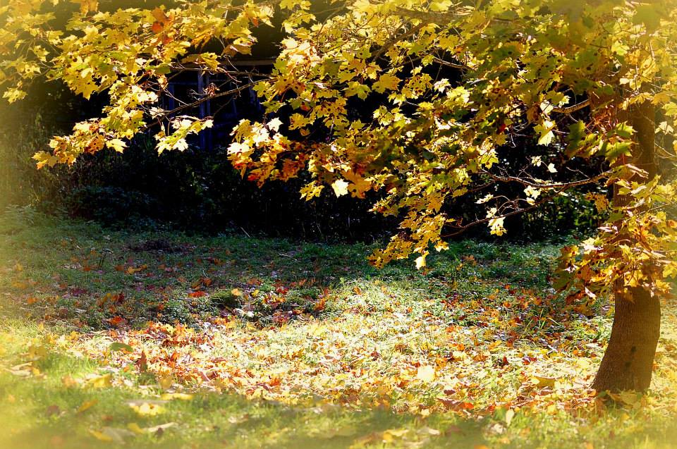 Valokuvaaja: Eija Varjola