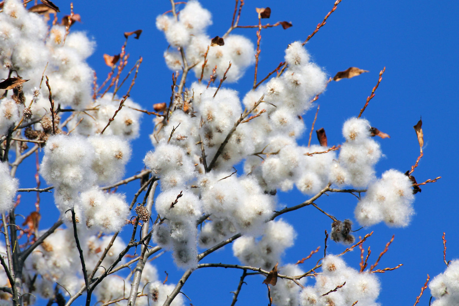 Valokuvaaja: Katri Mäkinen