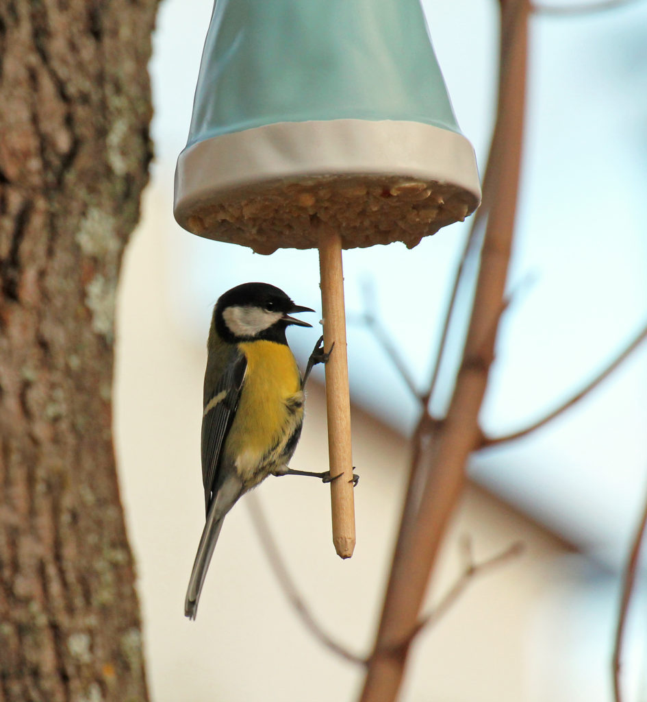 Valokuvaaja: Katri Mäkinen
