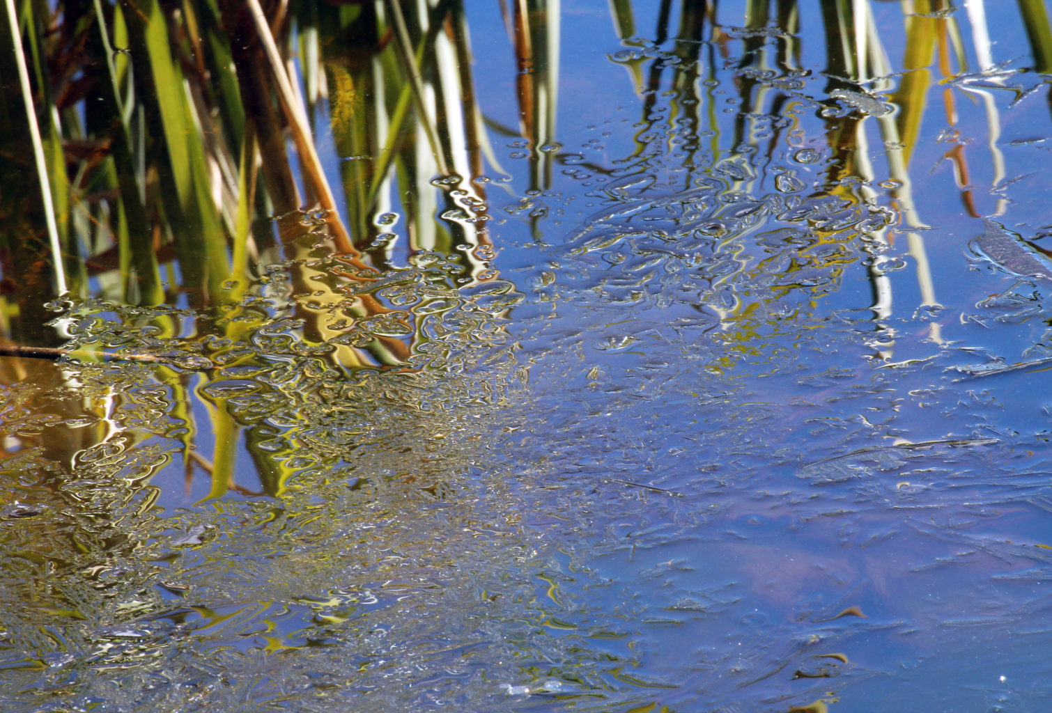 Valokuvaaja: Katri Mäkinen
