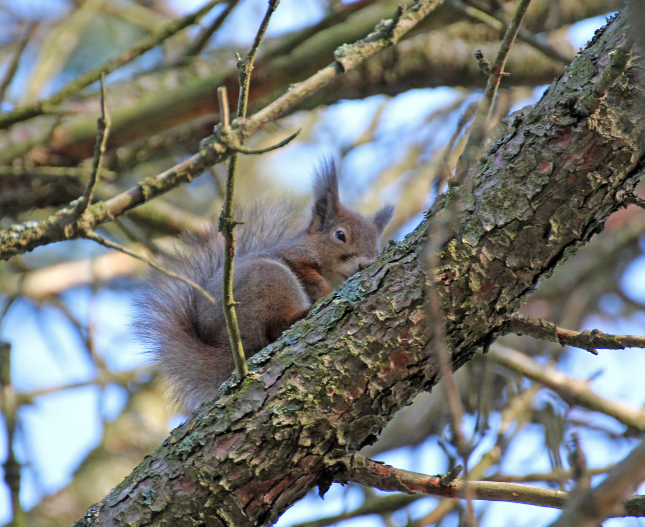 Valokuvaaja: Katri Mäkinen Valokuvaaja: Katri Mäkinen
