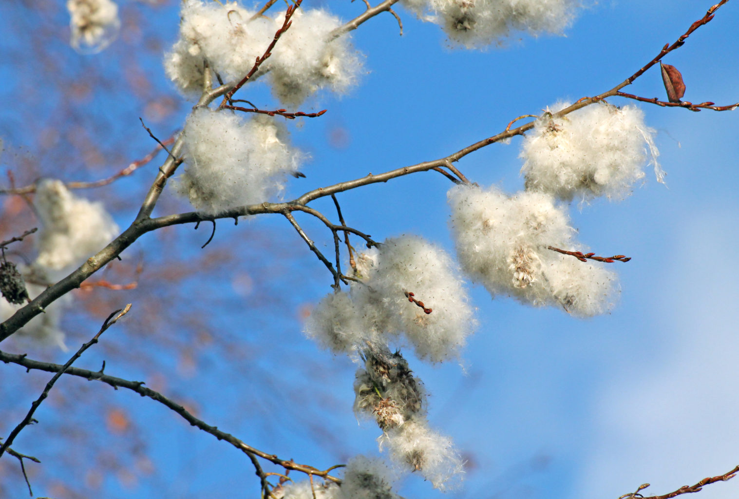 Valokuvaaja: Katri Mäkinen