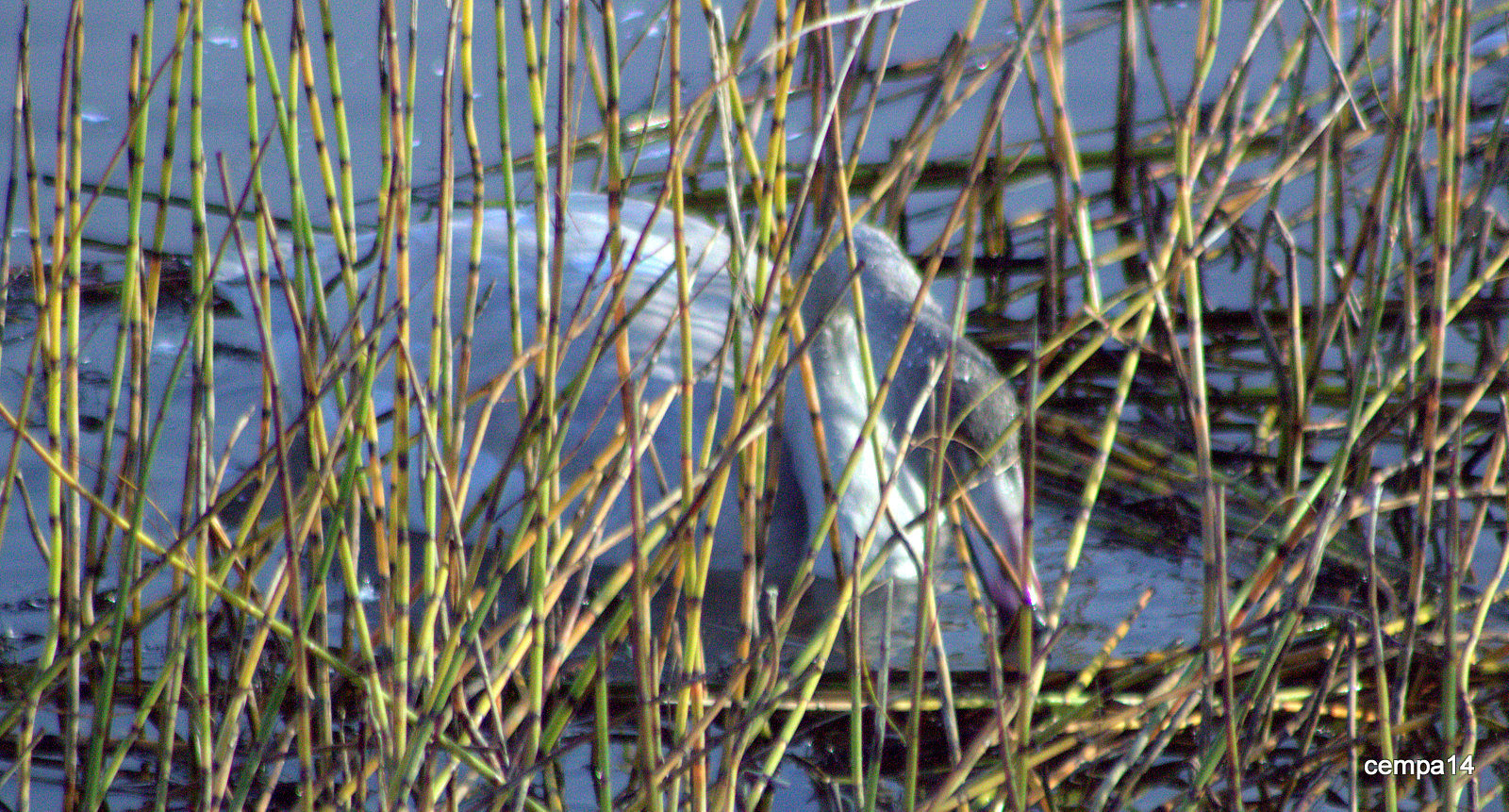 Valokuvaaja: tapio keinonen