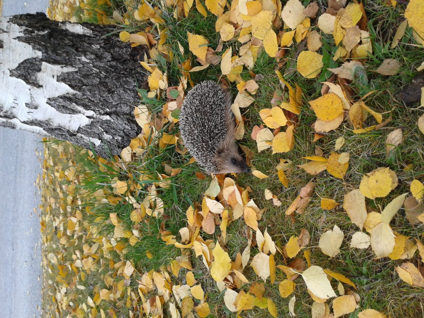 Valokuvaaja: Ella Kärnä