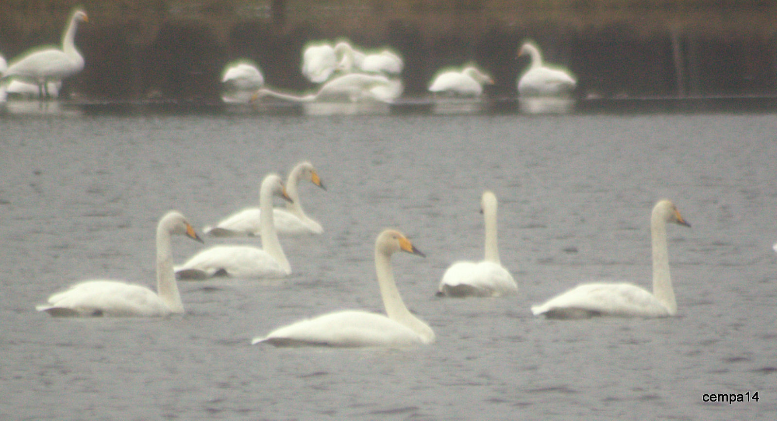 Valokuvaaja: tapio keinonen
