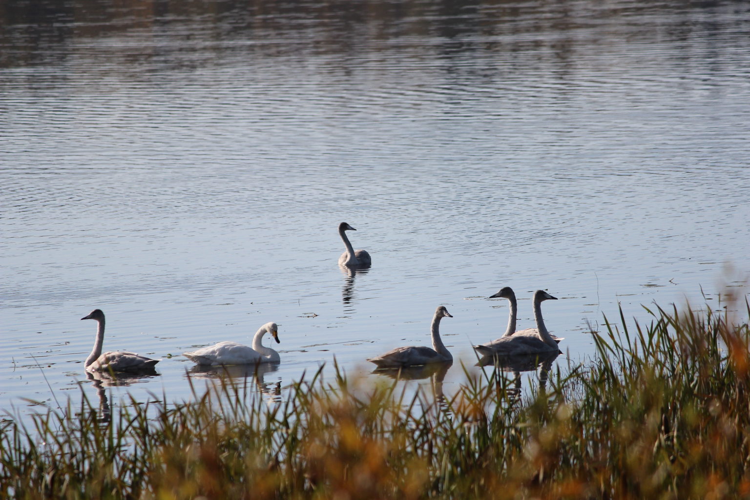 Valokuvaaja: Aila Paija Valokuvaaja: Aila Paija