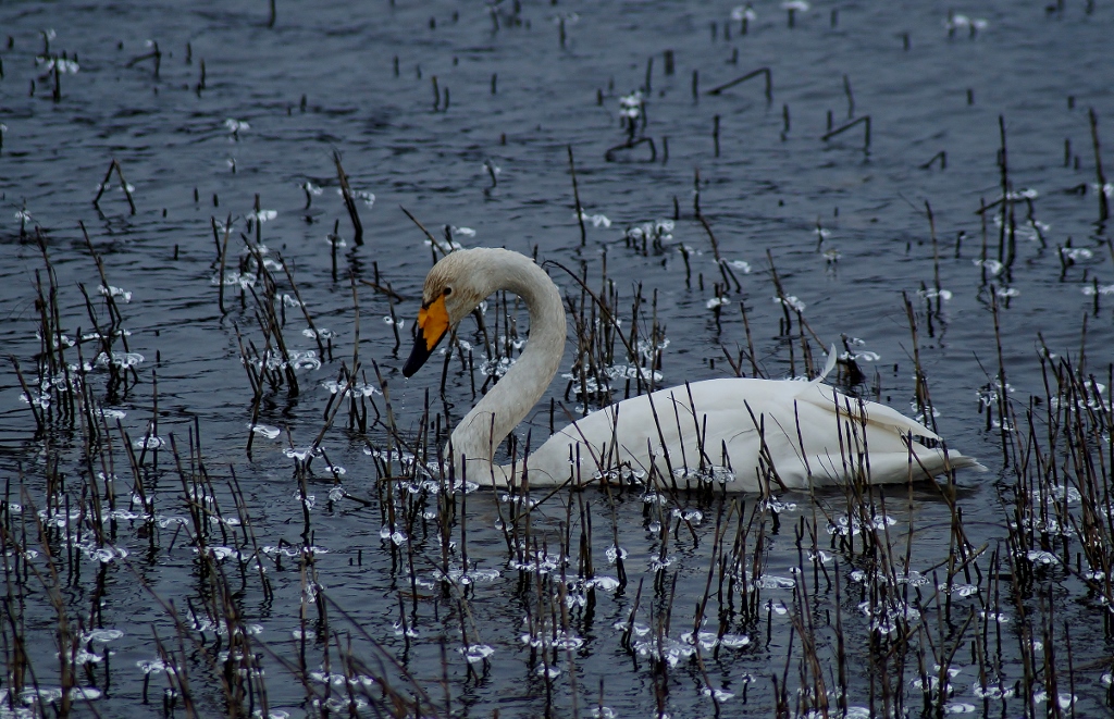 Valokuvaaja: Maarit Siitonen