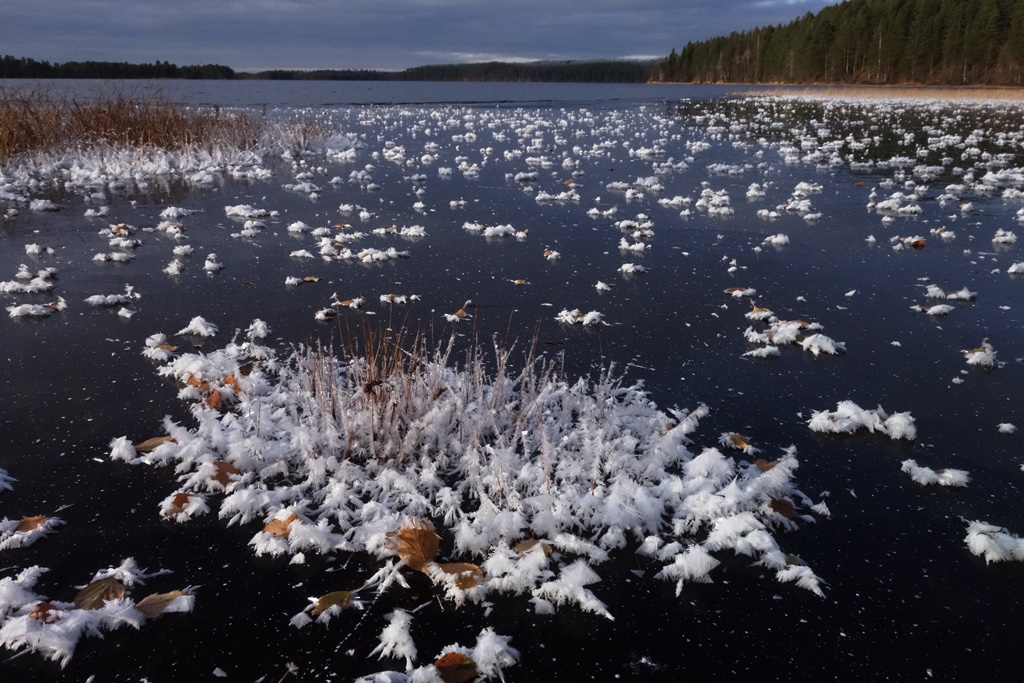Valokuvaaja: Kaarina Heiskanen Valokuvaaja: Kaarina Heiskanen