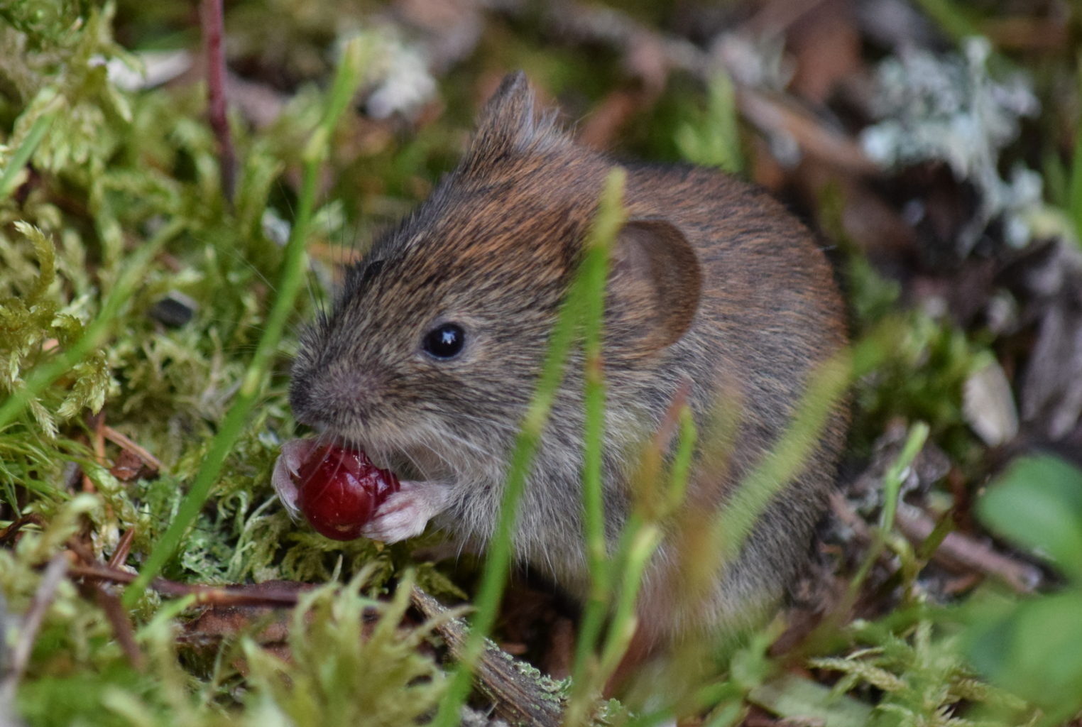 Valokuvaaja: Kirsi Nikkola Valokuvaaja: Kirsi Nikkola