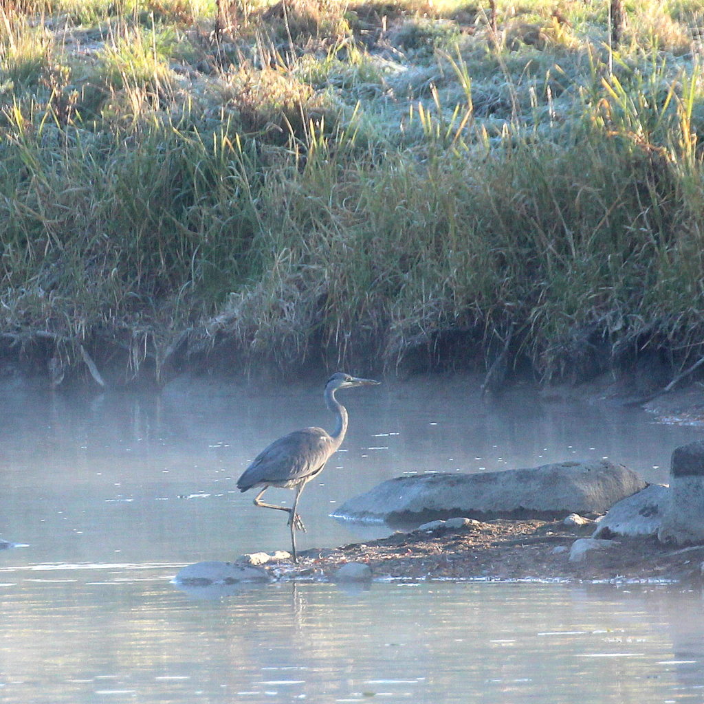 Valokuvaaja: Irja Lehtinen