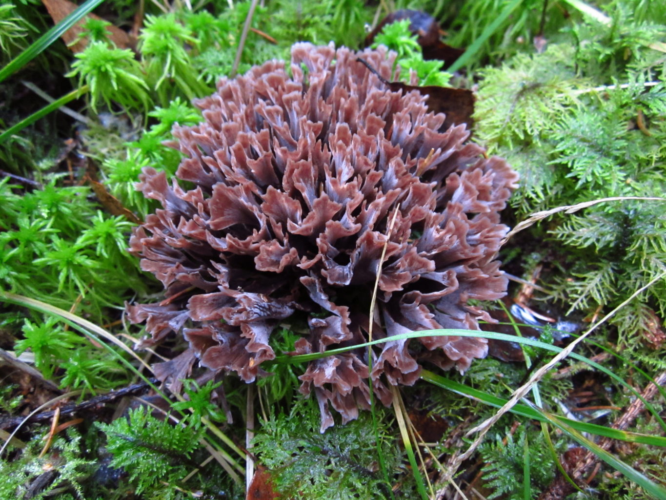 Valokuvaaja: Liisa Vapaavuori