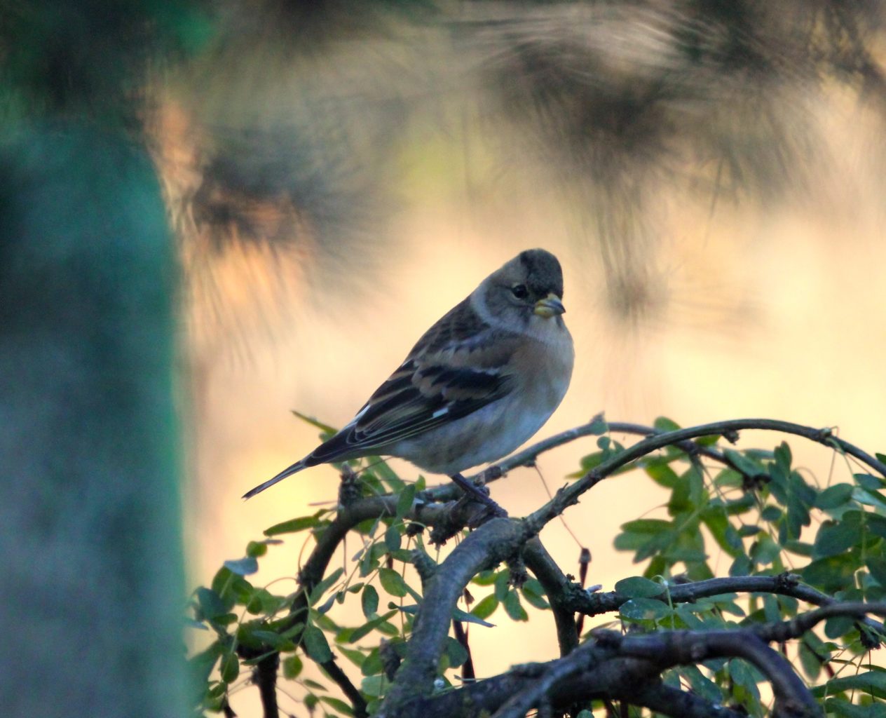 Valokuvaaja: Mervi Kivistö Valokuvaaja: Mervi Kivistö