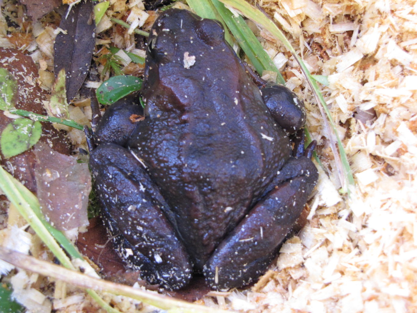 Valokuvaaja: Tuula Makkonen