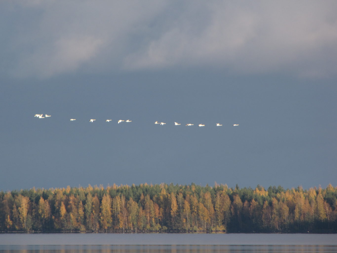 Valokuvaaja: Tuula Makkonen
