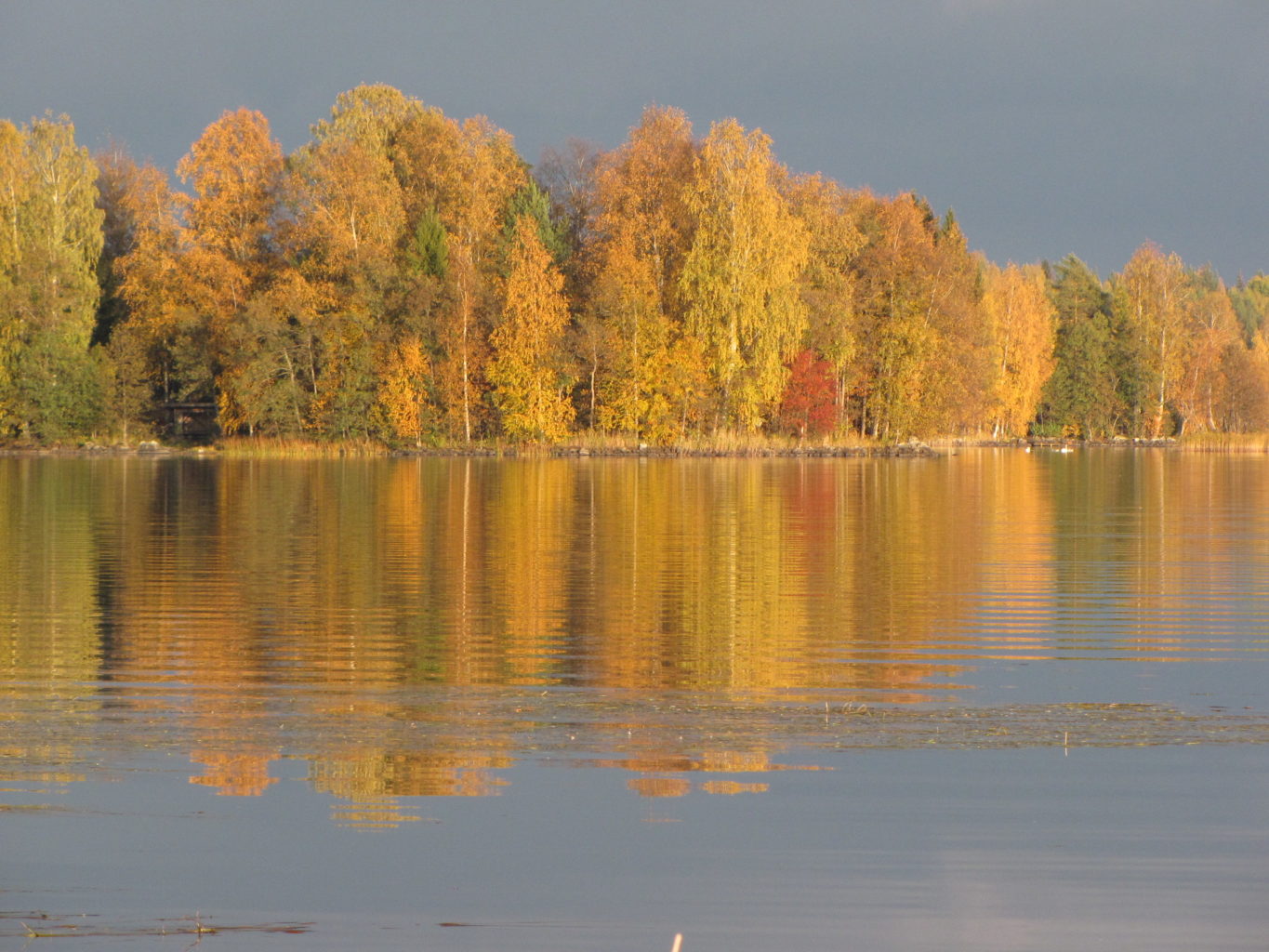 Valokuvaaja: Tuula Makkonen