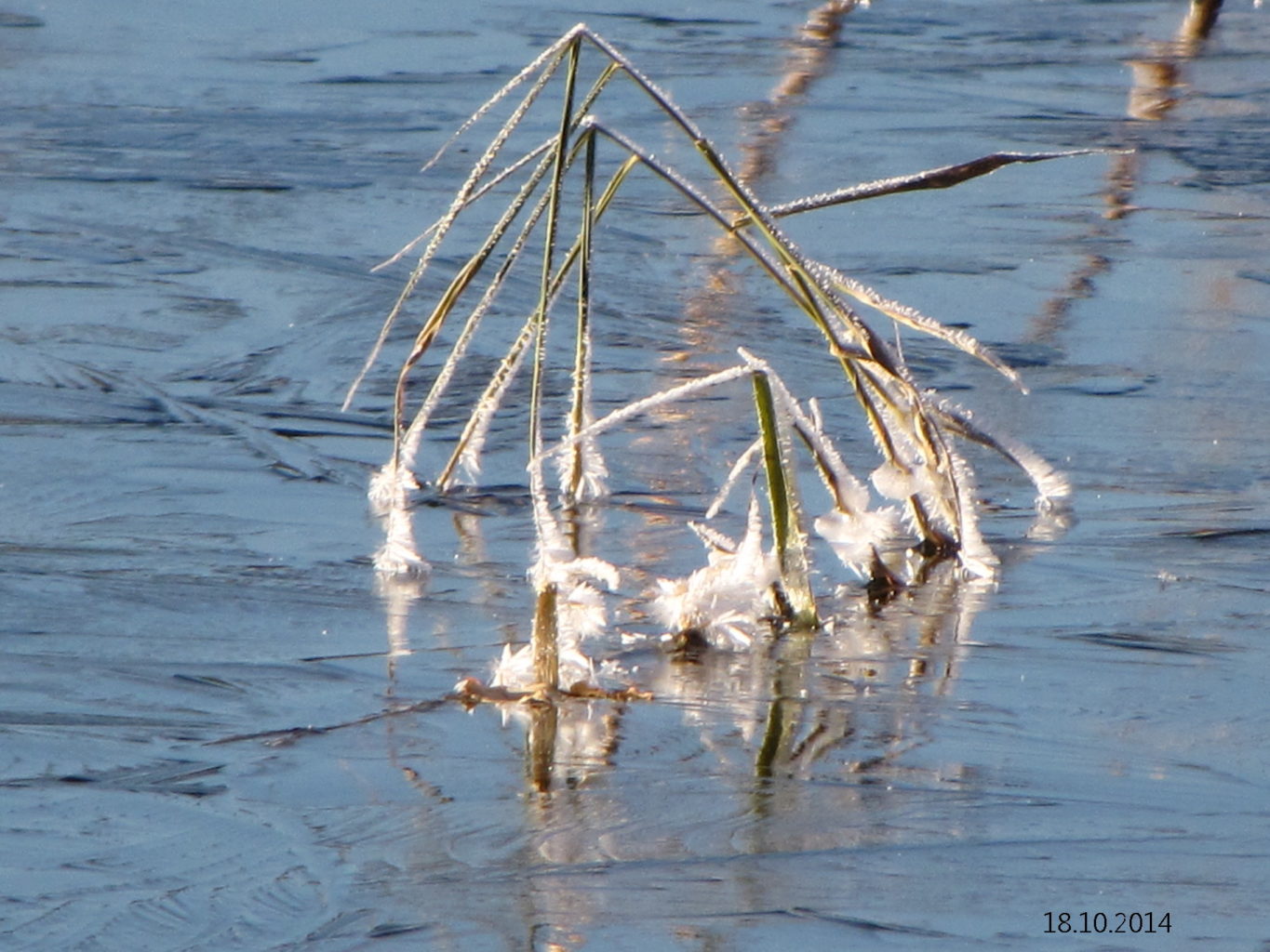 Valokuvaaja: Tuula Makkonen