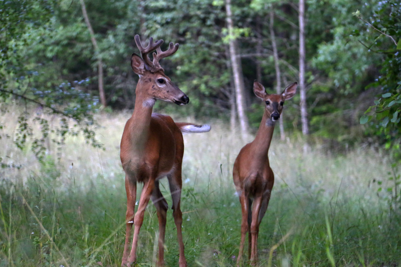 Valokuvaaja: Rita Puhto