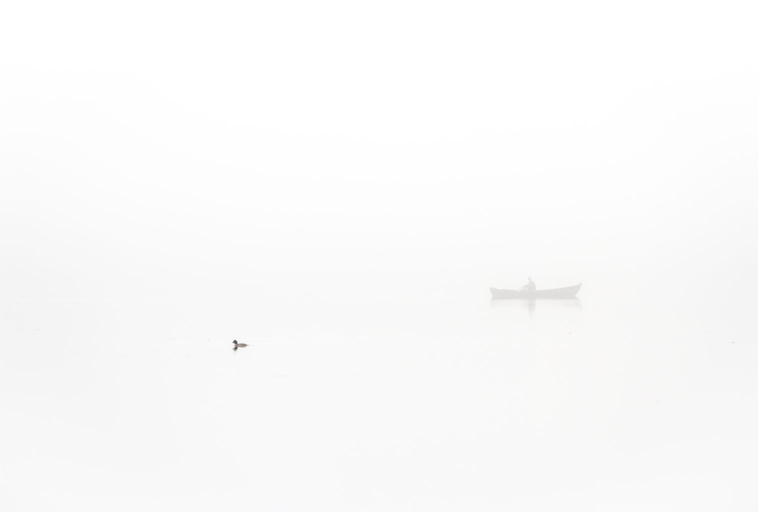 Valokuvaaja: Satu Mali